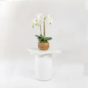 Micro Plaster Side Table