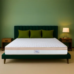 Sleepwell Spine Plus Regular
