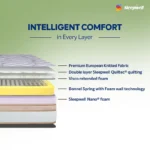 Sleepwell Spine Plus Regular