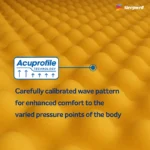 Sleepwell Ortho Pro Profiled