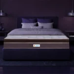 Sleepwell Nexa Classic