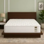 Kurlon Earth Spring Mattress