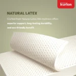 Kurlon Earth Spring Mattress