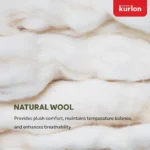 Kurlon Earth Spring Mattress