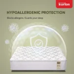 Kurlon Earth Spring Mattress