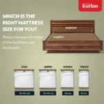 Kurlon Earth Spring Mattress