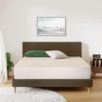 Kurlon DuoRest Premium Mattress
