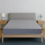 Spinekare Mattress