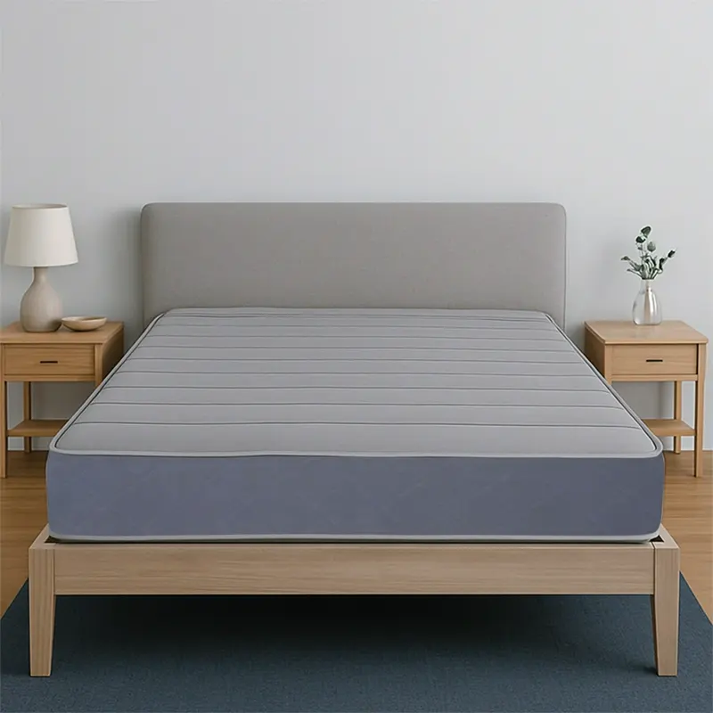 Spinekare Mattress 1 Spinekare Mattress