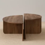DuoArc Coffee Table