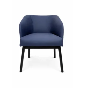 Elara Comfort Chair