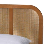 Cane Aura Premium Bed